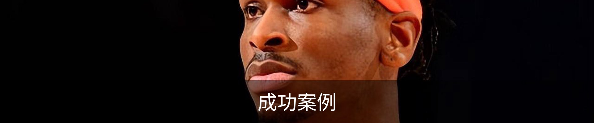 成功案例