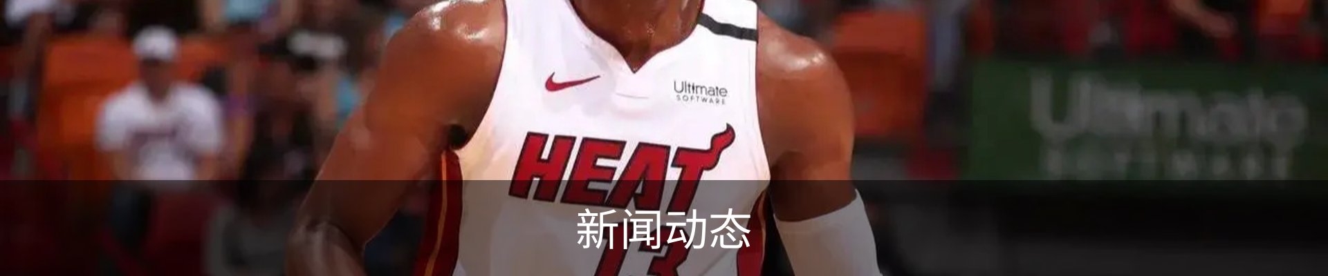 新闻动态